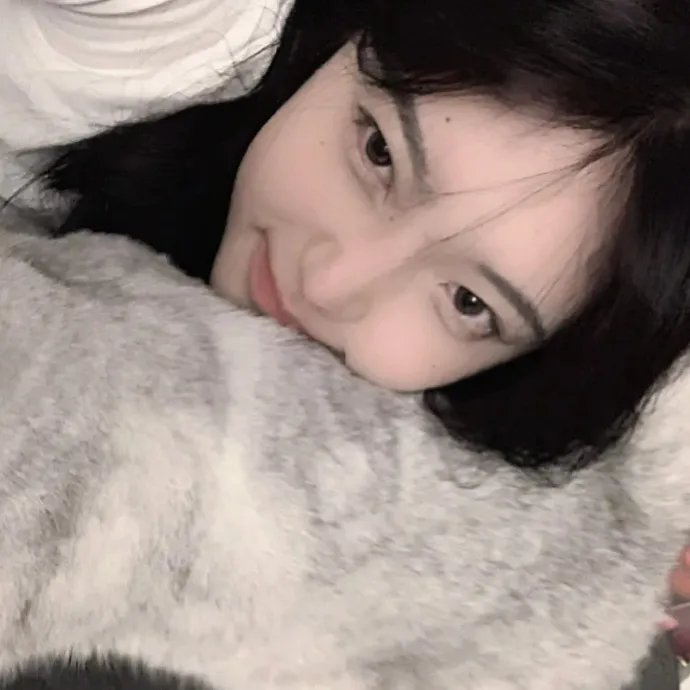 猫狗大战3：爪爪集结！